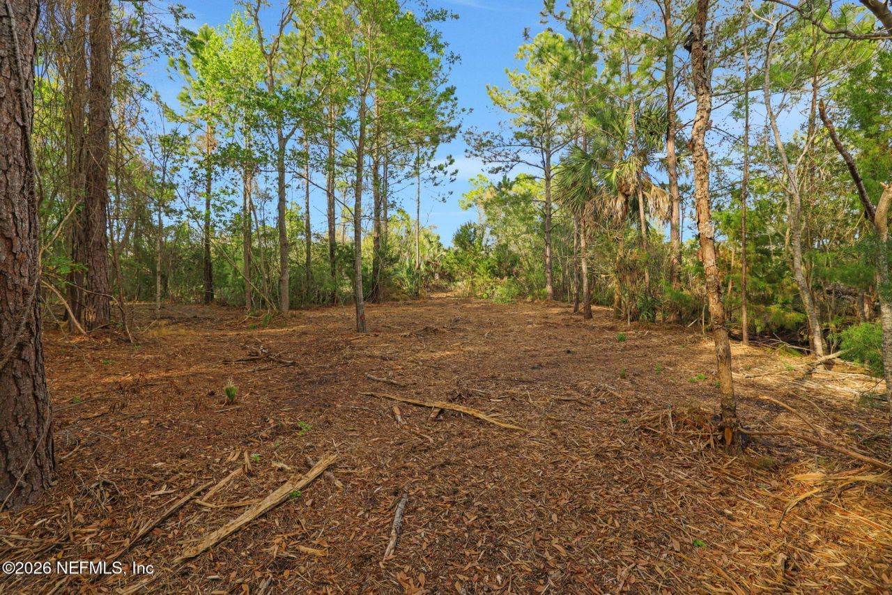 1133 Girvin Road, Jacksonville, FL 32225 Photo