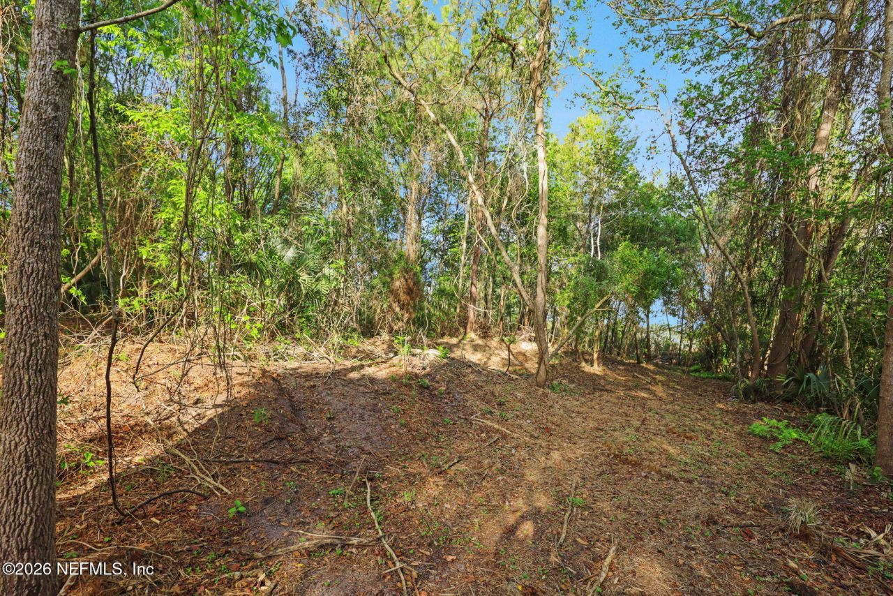 1133 Girvin Road, Jacksonville, FL 32225 Photo