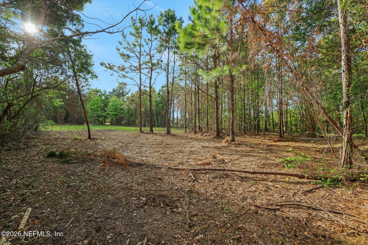 1133 Girvin Road, Jacksonville, FL 32225 Photo