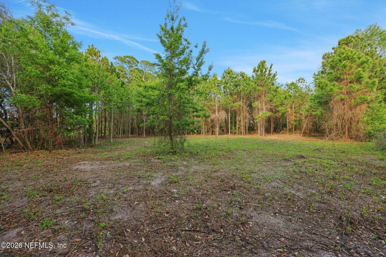 1133 Girvin Road, Jacksonville, FL 32225 Photo