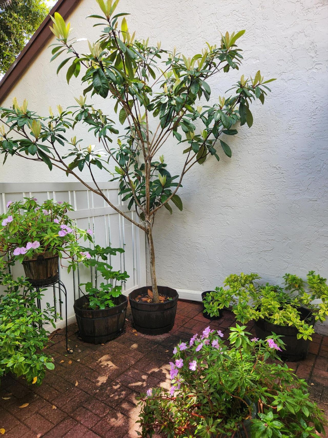 3226 S Carambola Cir S S, Coconut Creek, FL 33066 Photo