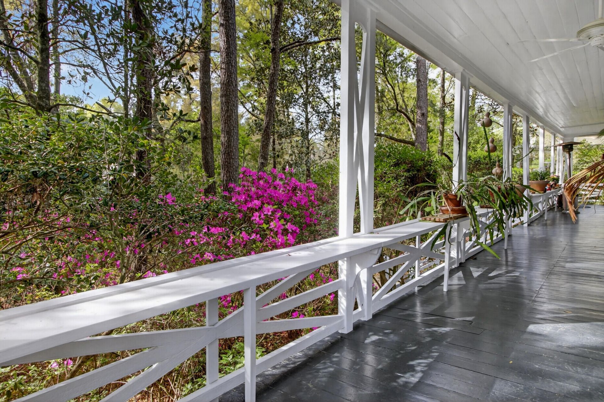 108 Rutherford Street Photo 25