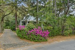 108 Rutherford Street photo 4