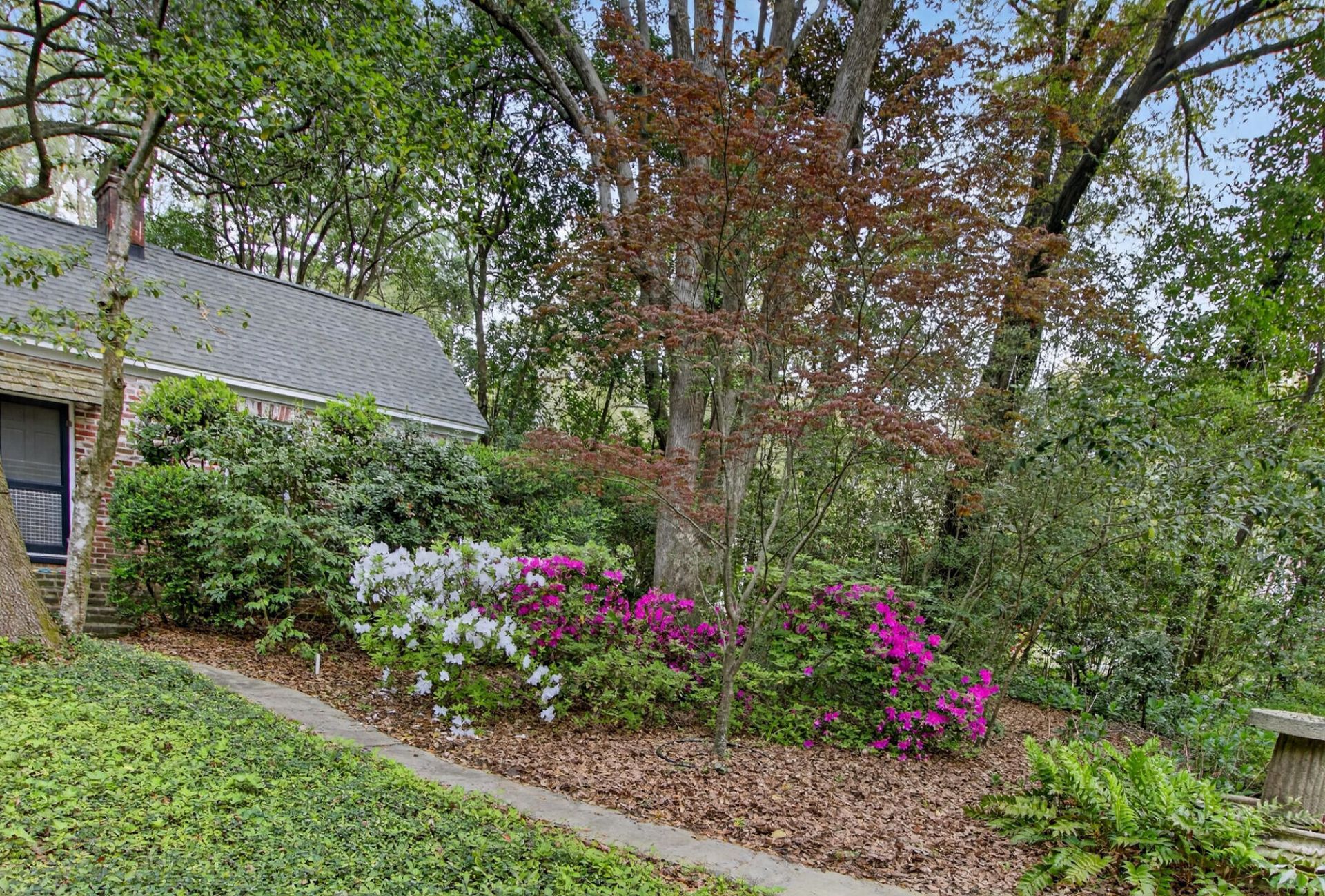 108 Rutherford Street Photo 59