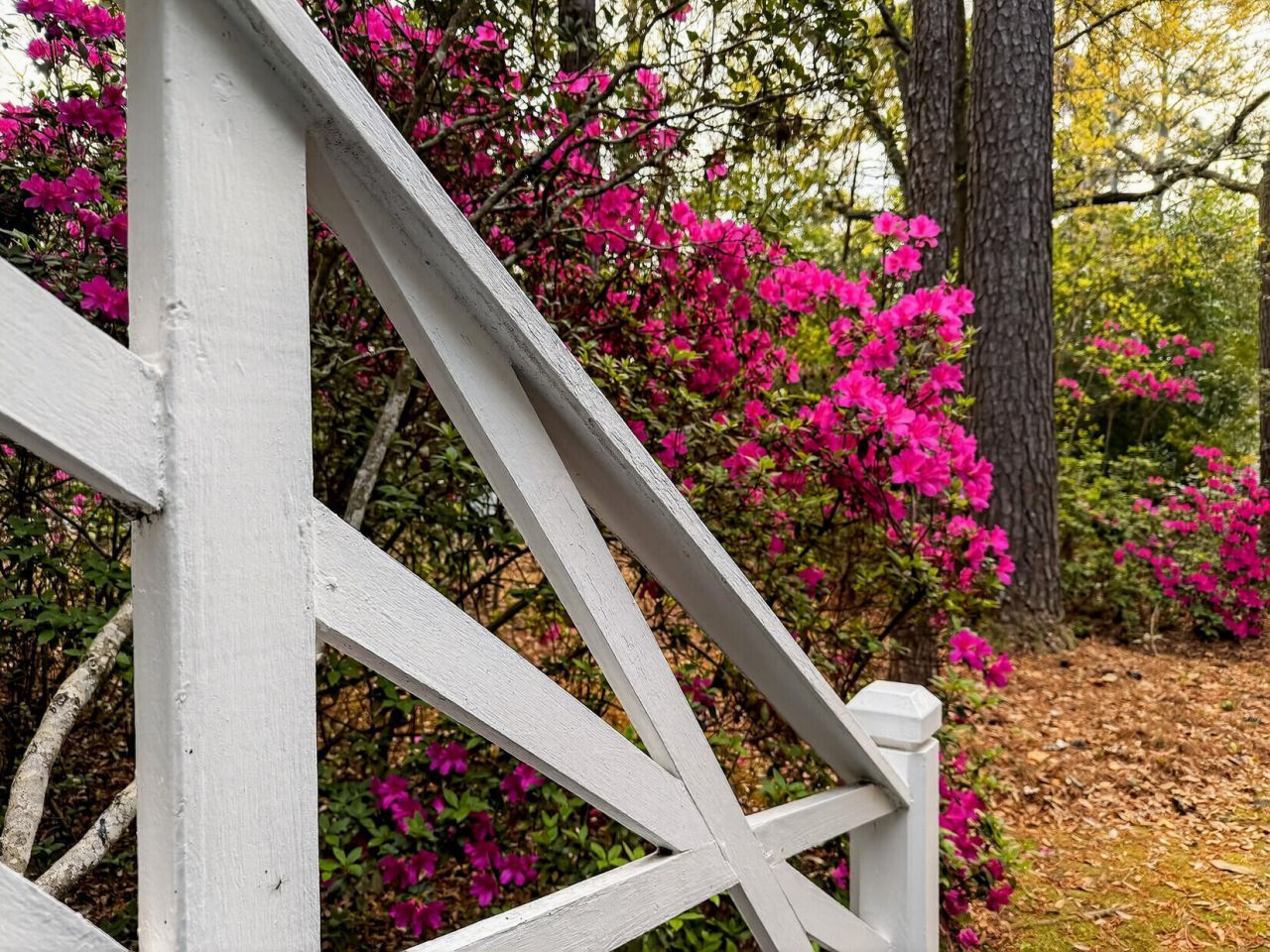 108 Rutherford Street Photo 76