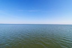 214 Bennette Street photo 4