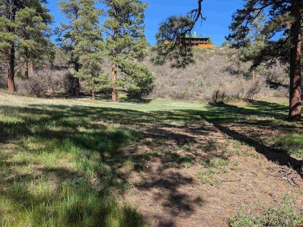 541 Blue Jay Circle, Pagosa Springs, CO 81147