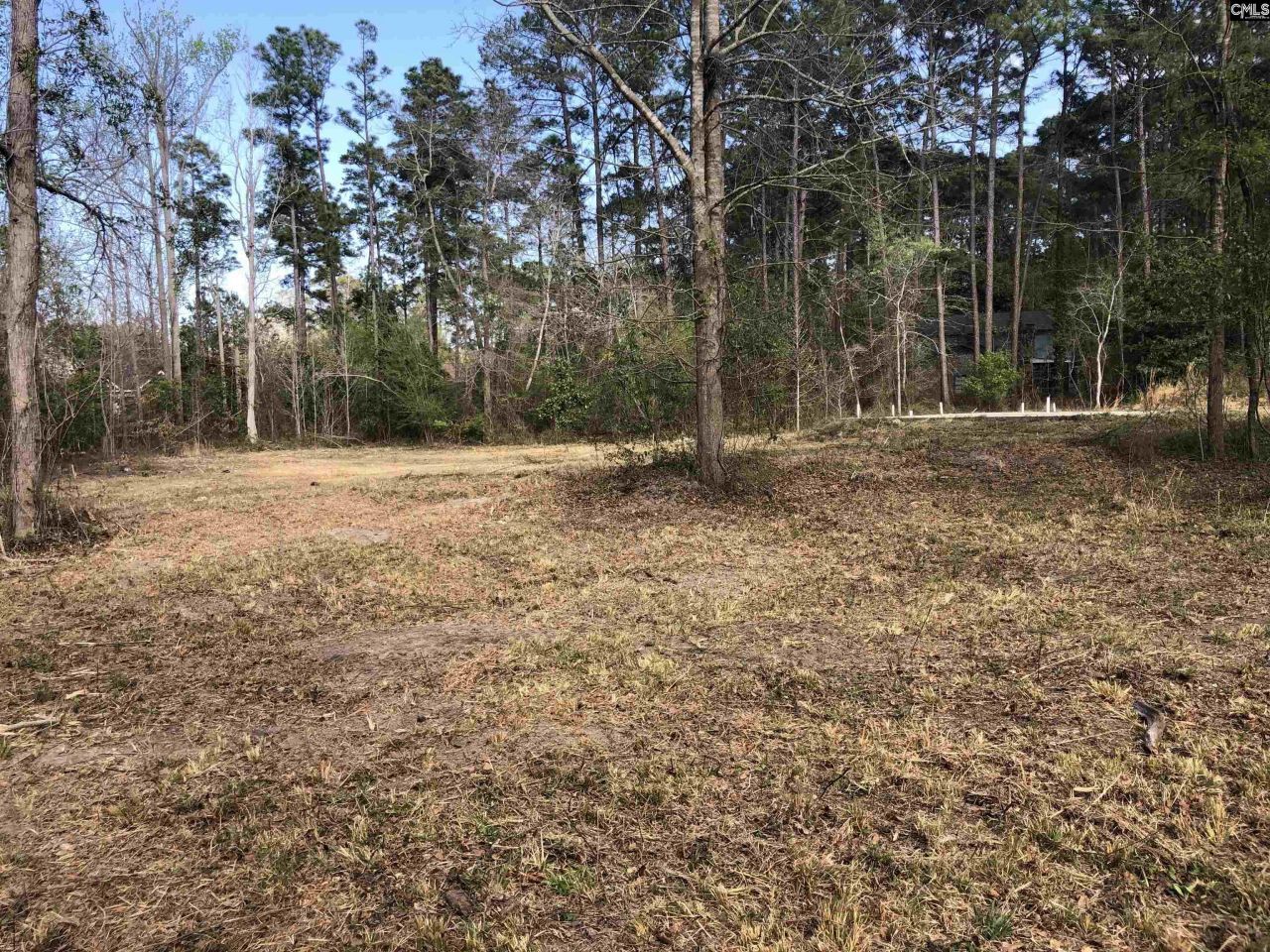 William Circle Photo 10