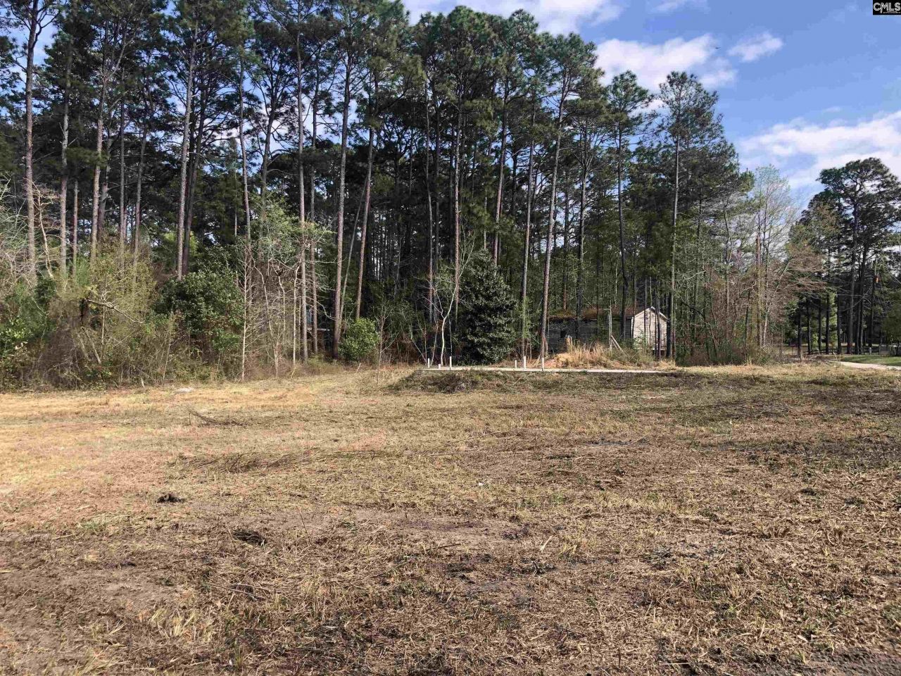 William Circle Photo 11