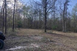 William Circle photo 4