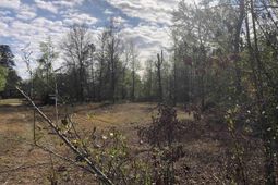 William Circle photo 4