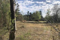 William Circle photo 4