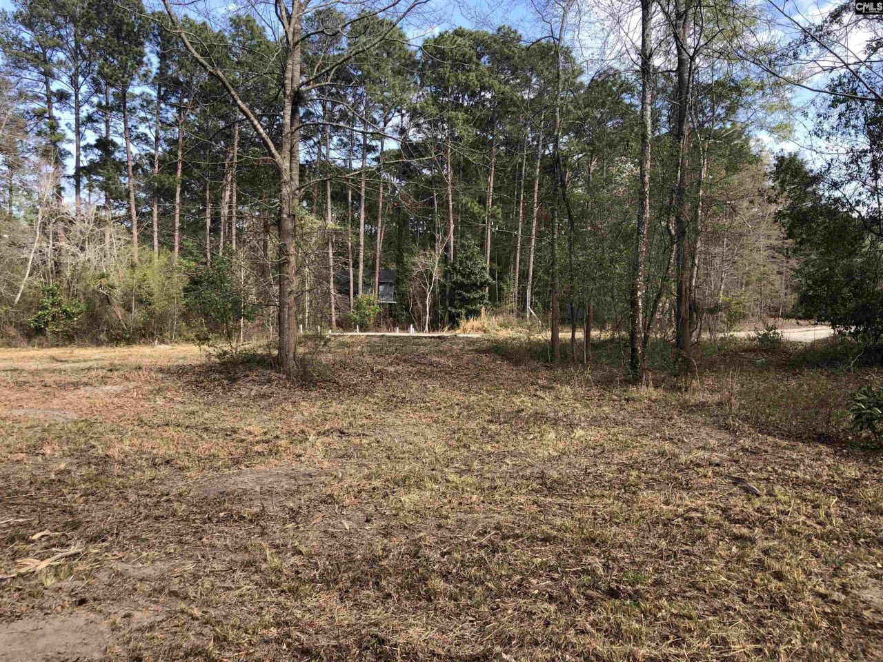 William Circle Photo 5