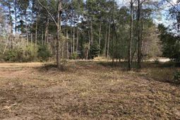 William Circle photo 4