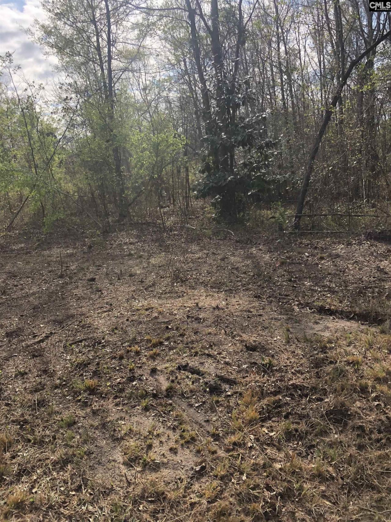 William Circle Photo 6