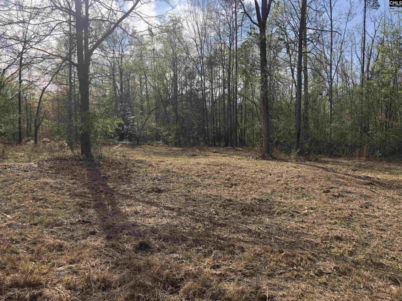 William Circle Photo 7