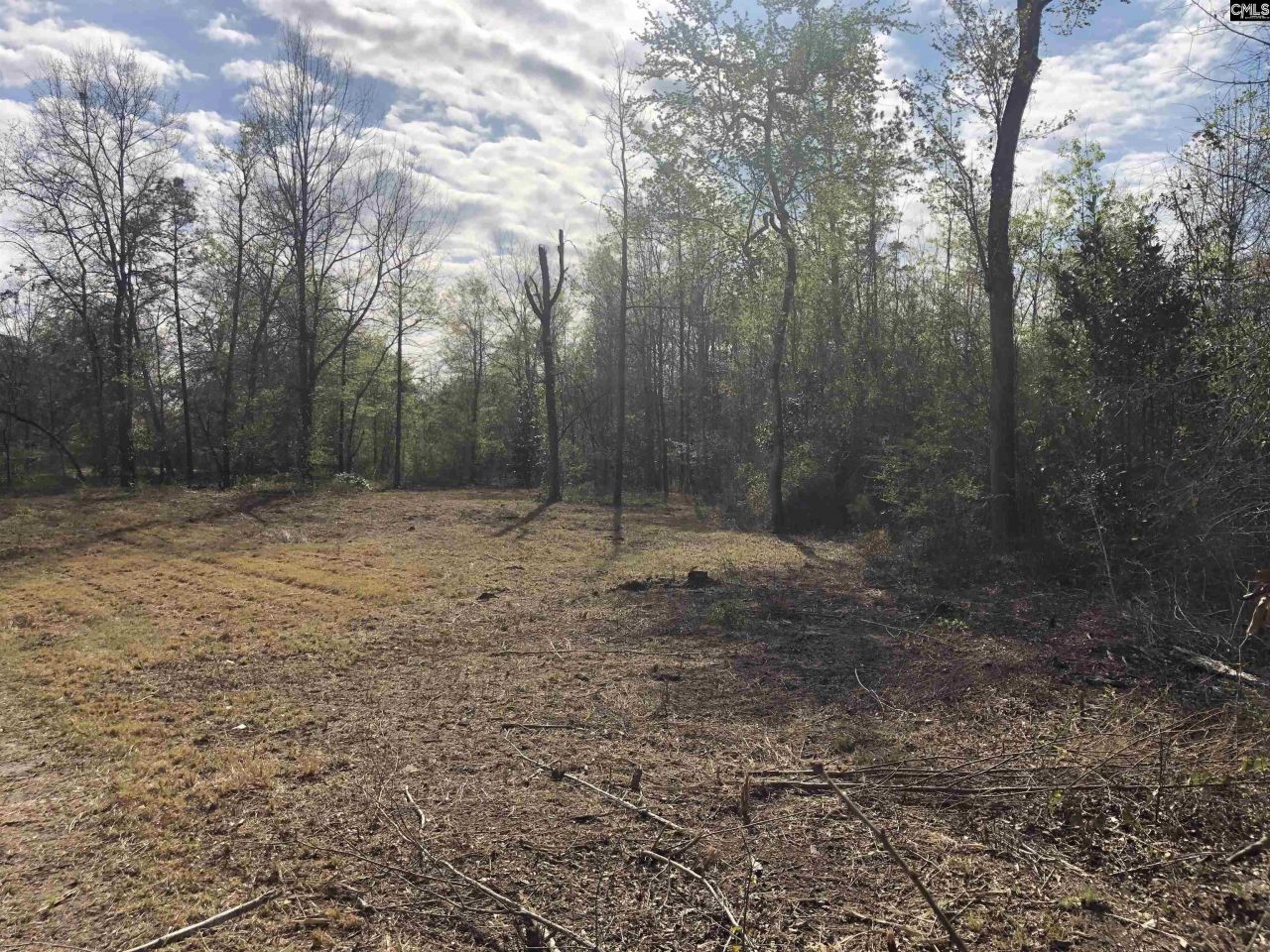 William Circle Photo 9