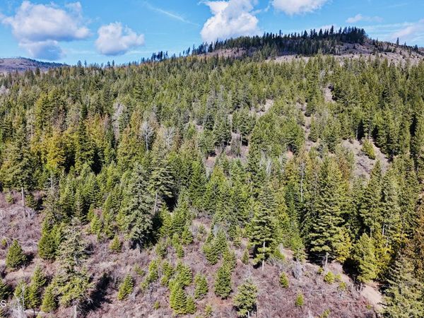 NKA N Whittum RD, Priest River, ID 83856