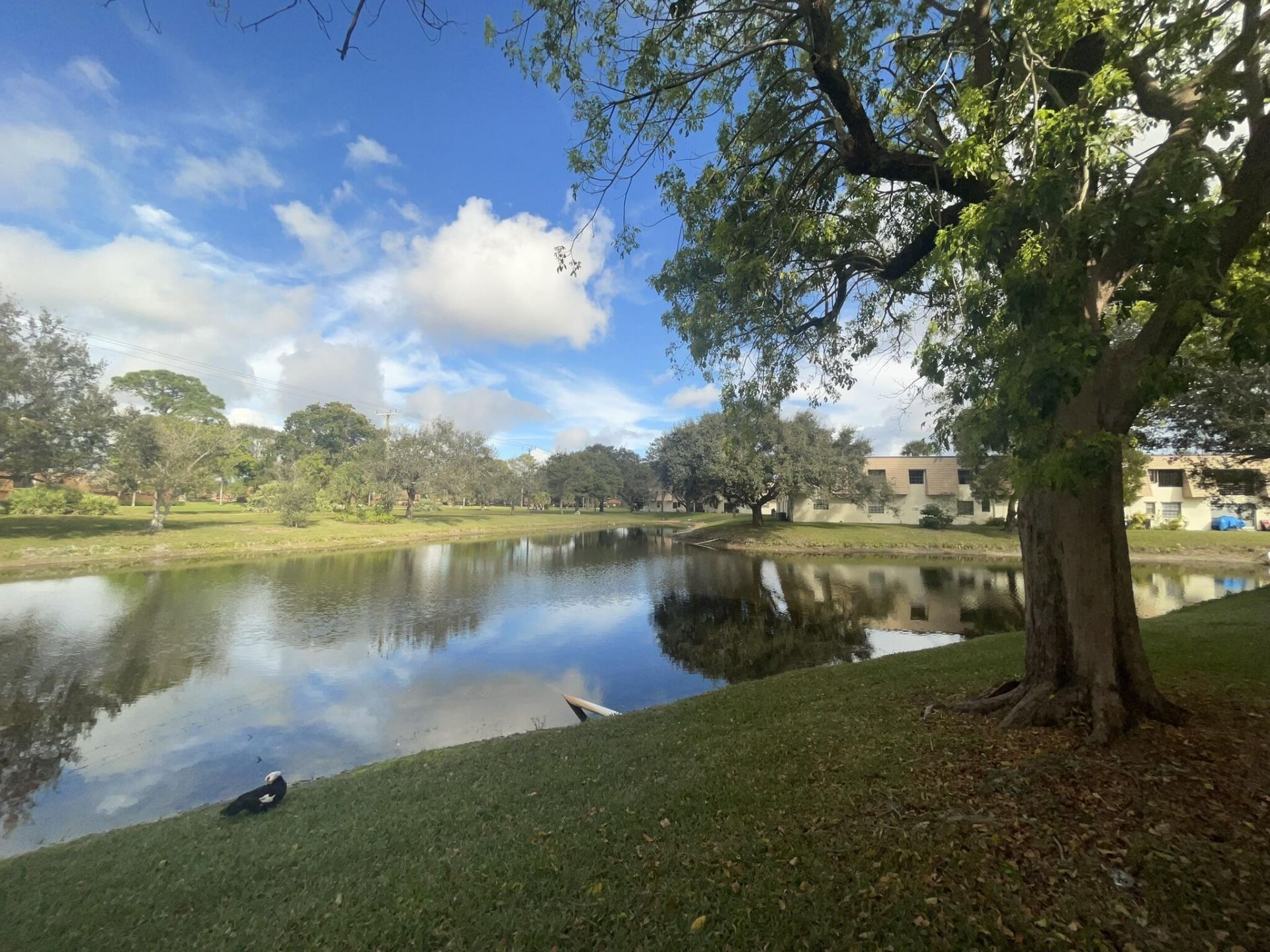 4185 Oak Terrace Drive, Greenacres, FL 33463 Photo