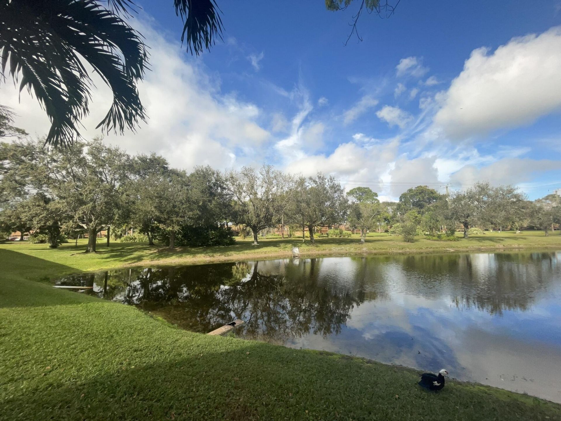 4185 Oak Terrace Drive, Greenacres, FL 33463 Photo