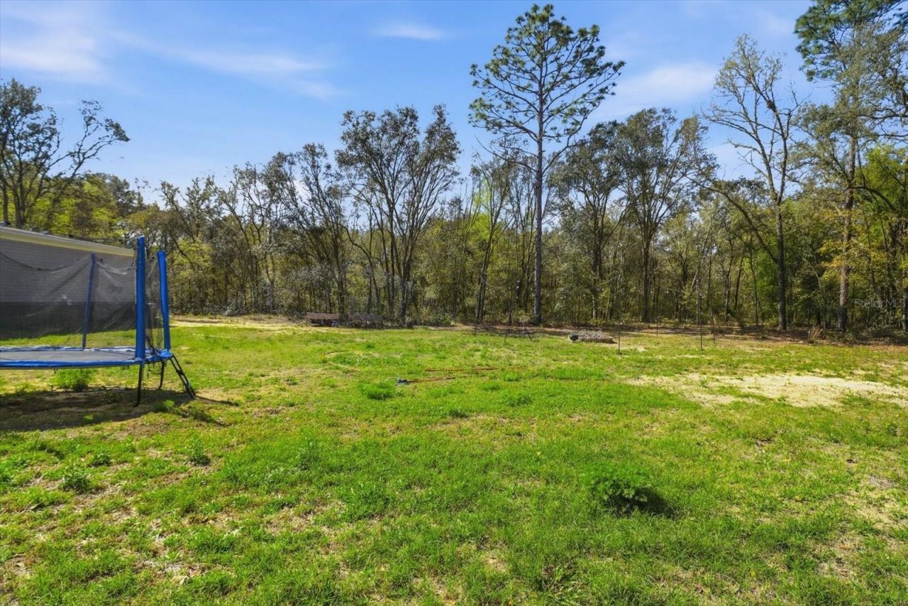 7290 NE 110th Avenue , Bronson, FL 32621 Photo