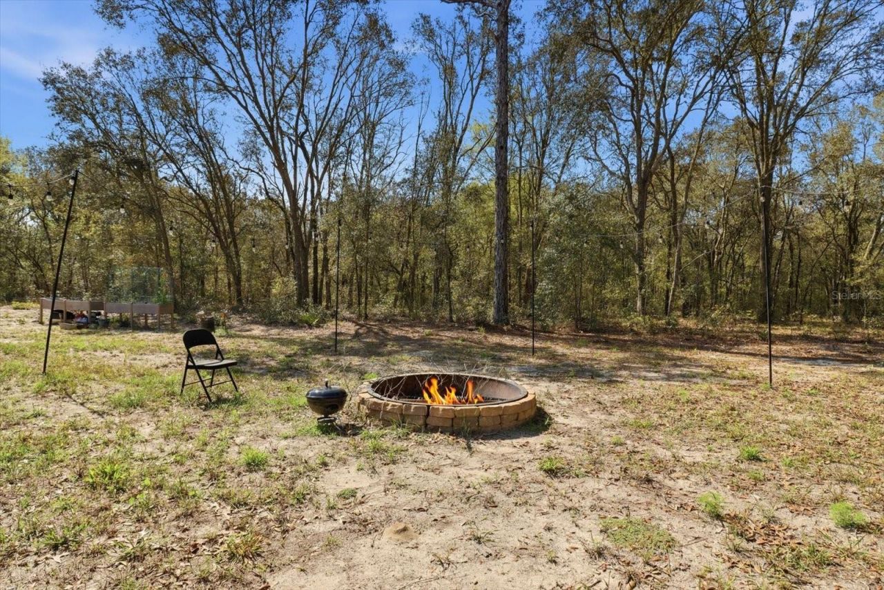 7290 NE 110th Avenue , Bronson, FL 32621 Photo