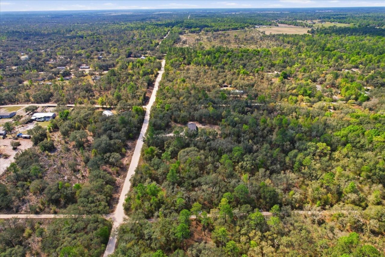 7290 NE 110th Avenue , Bronson, FL 32621 Photo