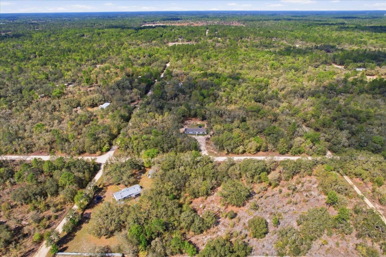 7290 NE 110th Avenue , Bronson, FL 32621 Photo