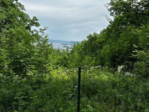 Lot 1 Alma Hills, Alma, WI 54610
