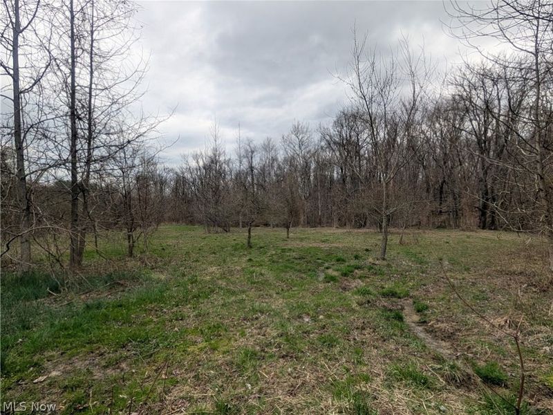 North, Somerset, OH 43783 Photo 3