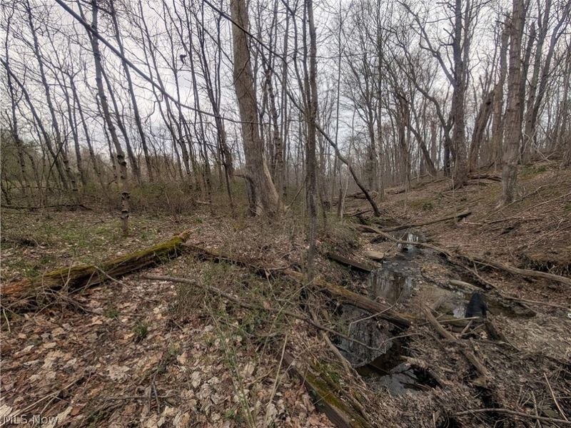 North, Somerset, OH 43783 Photo 5