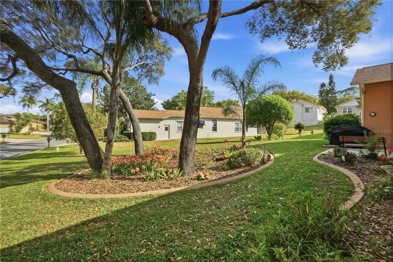 2309 Fairskies Drive , Spring Hill, FL 34606 Photo