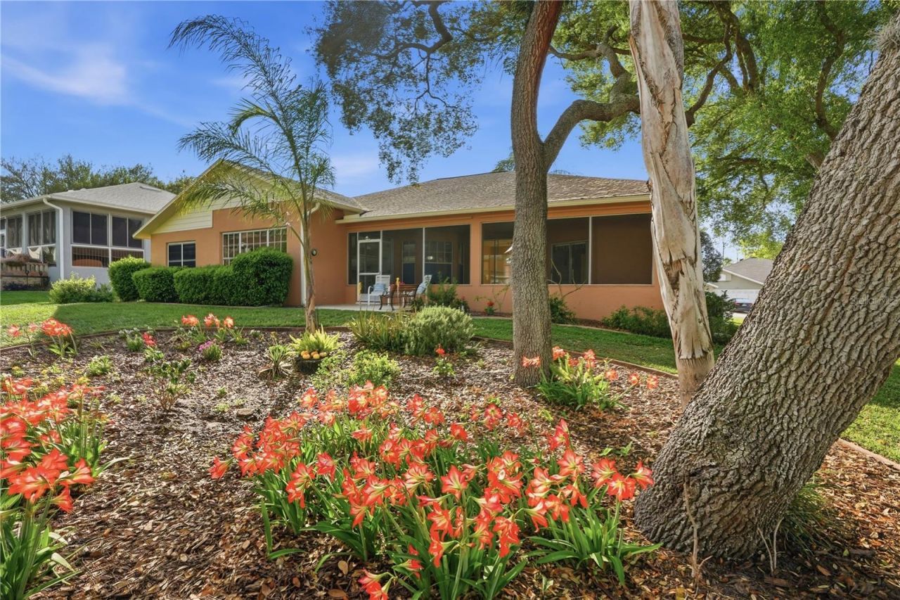 2309 Fairskies Drive , Spring Hill, FL 34606 Photo