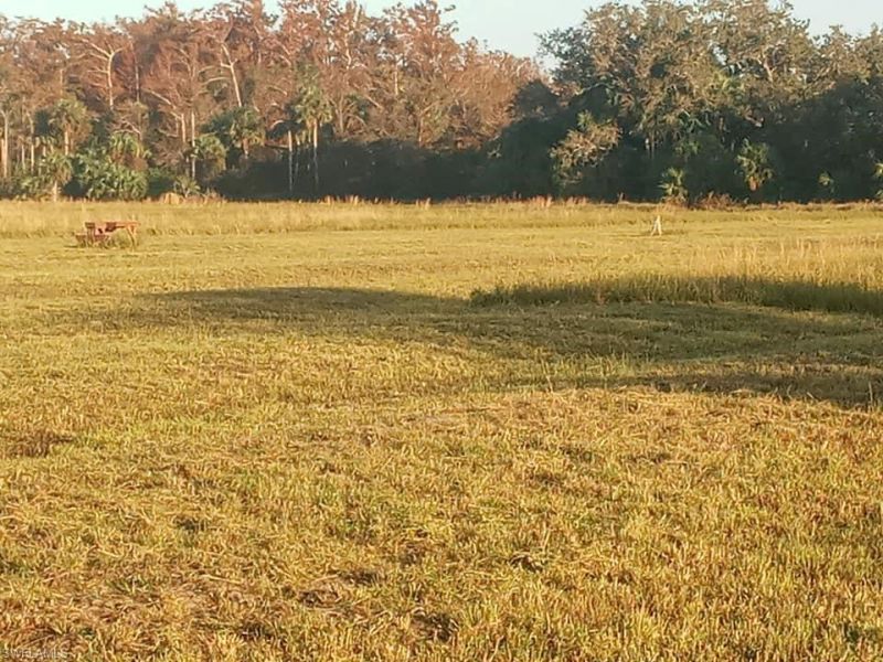 46310 Neal Rd, Punta Gorda, FL 33982 Photo