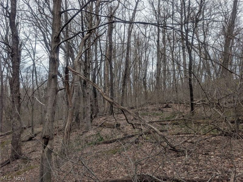 High Street, Somerset, OH 43783 Photo 4