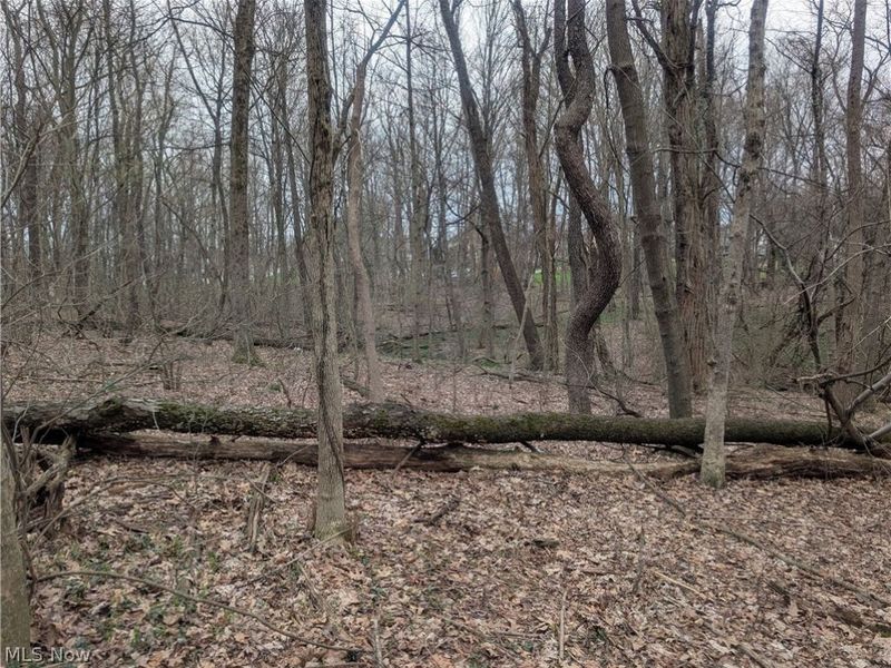 High Street, Somerset, OH 43783 Photo 5