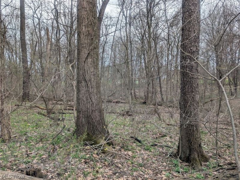 High Street, Somerset, OH 43783 Photo 6