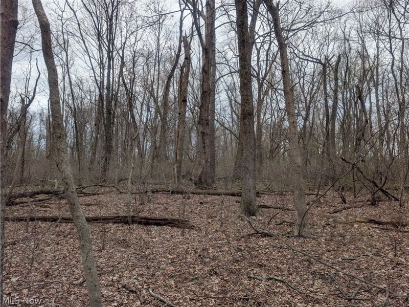 High Street, Somerset, OH 43783 Photo 8