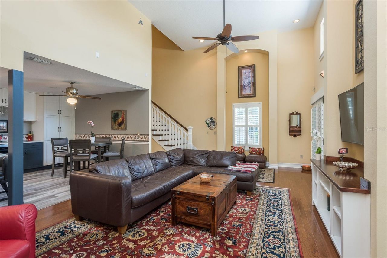 14 Baywood Drive, Palm Harbor, FL 34683 Photo