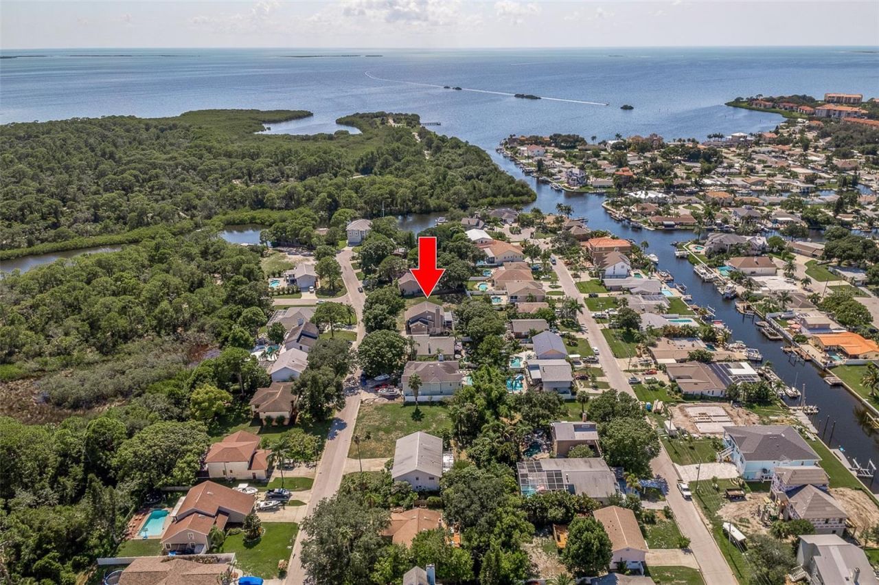 14 Baywood Drive, Palm Harbor, FL 34683 Photo