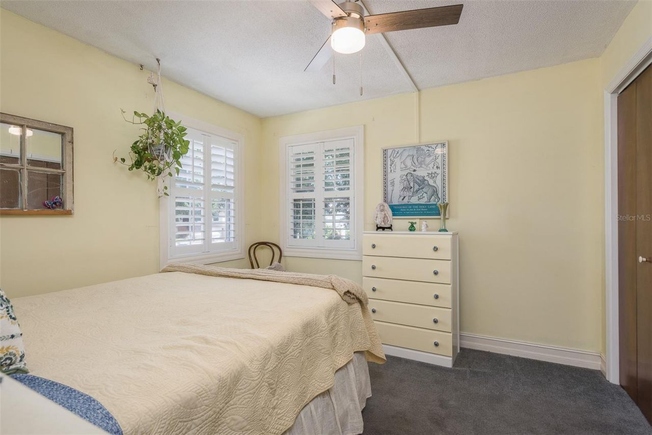 14 Baywood Drive, Palm Harbor, FL 34683 Photo