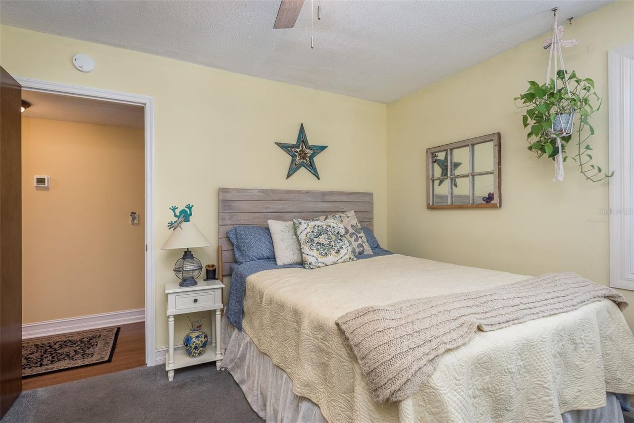14 Baywood Drive, Palm Harbor, FL 34683 Photo