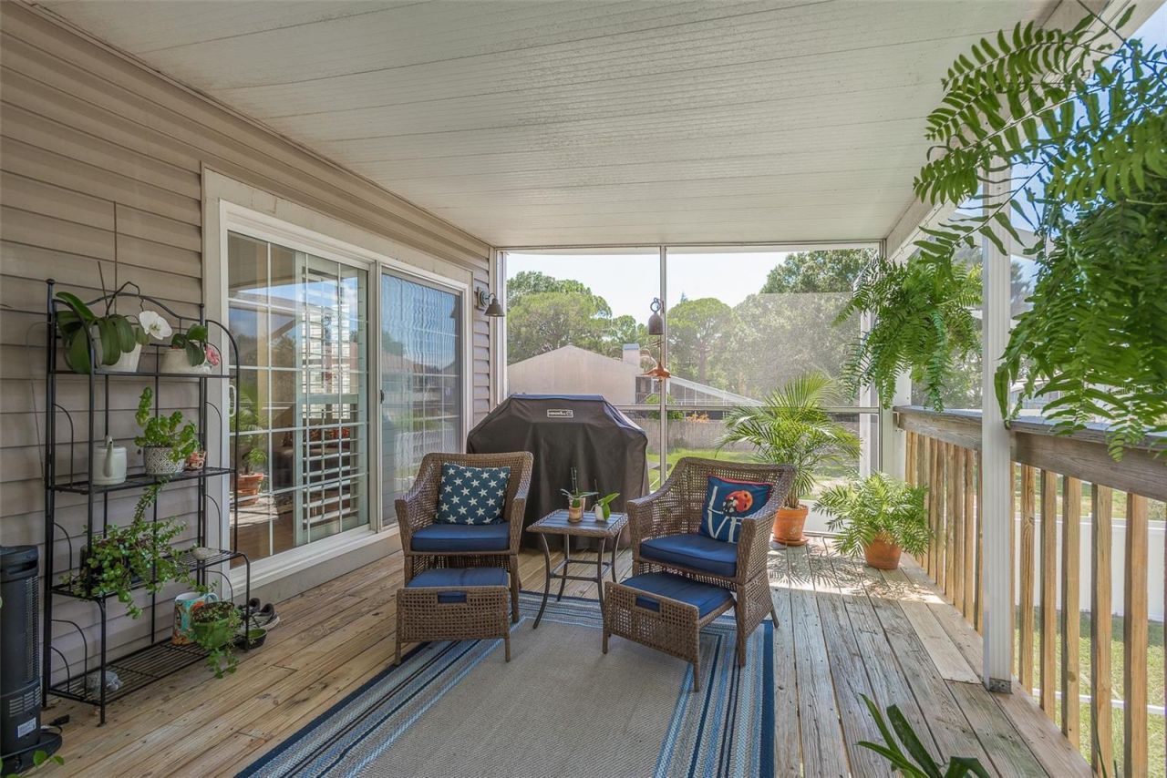 14 Baywood Drive, Palm Harbor, FL 34683 Photo