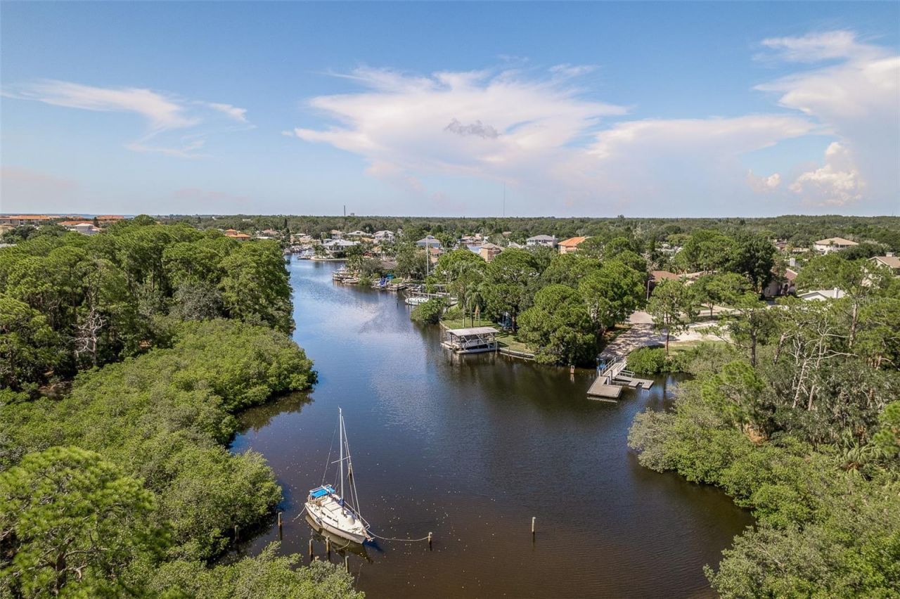 14 Baywood Drive, Palm Harbor, FL 34683 Photo