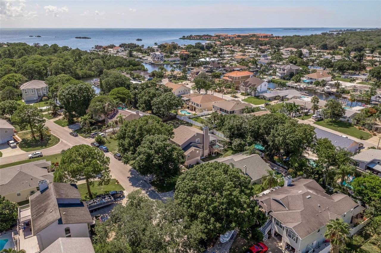 14 Baywood Drive, Palm Harbor, FL 34683 Photo