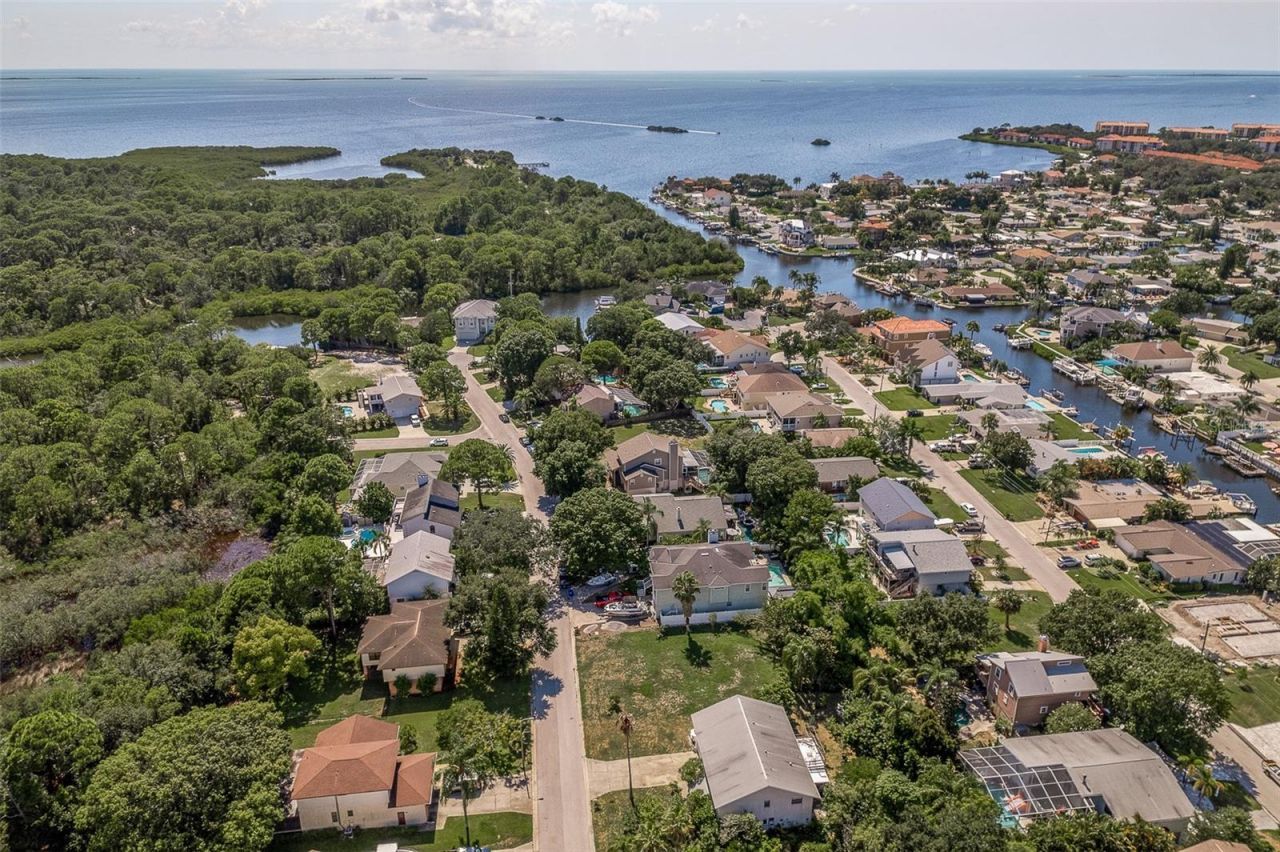 14 Baywood Drive, Palm Harbor, FL 34683 Photo