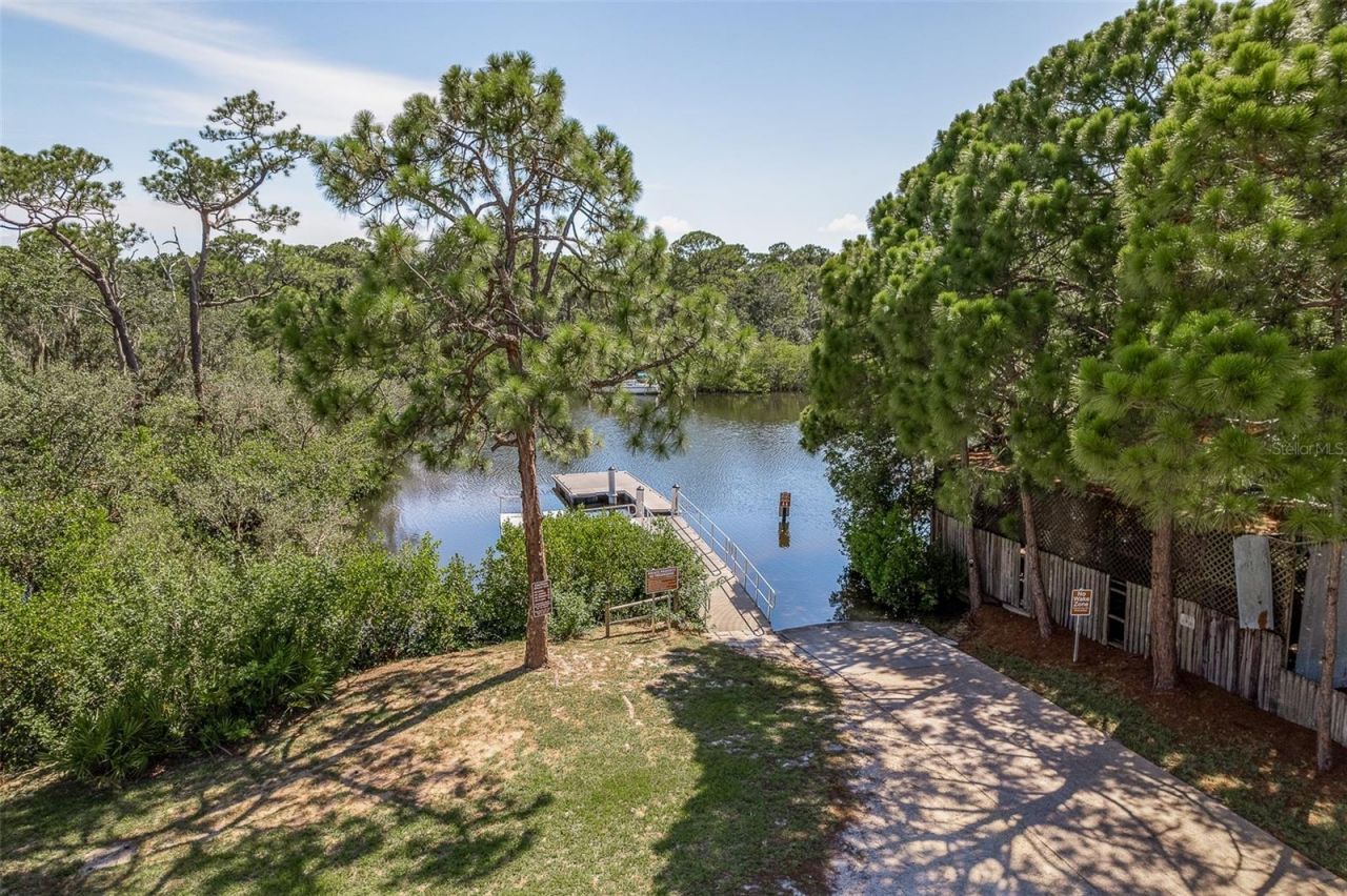 14 Baywood Drive, Palm Harbor, FL 34683 Photo