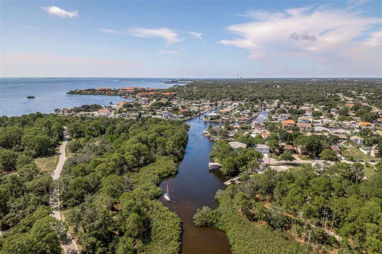 14 Baywood Drive, Palm Harbor, FL 34683 Photo