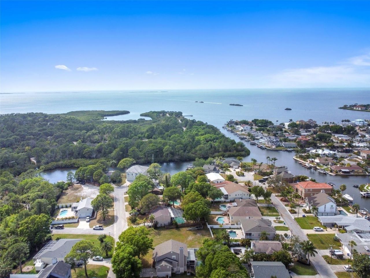 14 Baywood Drive, Palm Harbor, FL 34683 Photo