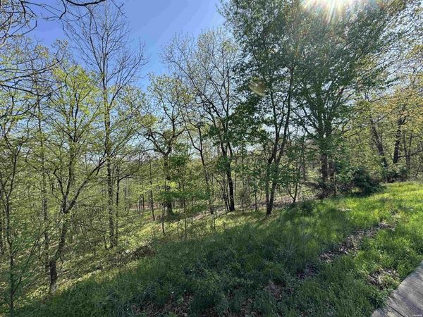 xxx COVEY RISE Trail, Hot Springs, AR 71901